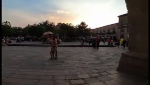 San Luis Potosi Centro & art
