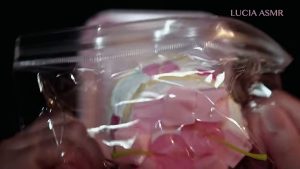 ASMR for Sleep: Squishy Stand Guard, No Human Voice So sleepy, so sleepy