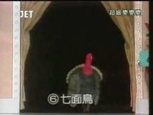 23回6番 七面鳥