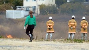 Fires in the Fields of Japan