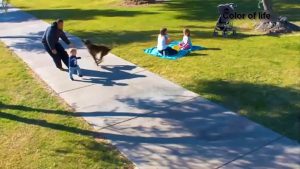 Dogs helping children
