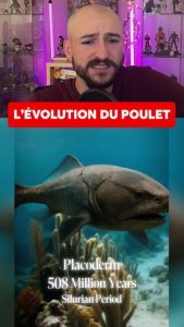 L'ÉVOLUTION DU POULET !
