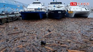 罕見畫面！連續豪雨 台東富岡漁港客輪前鋪滿漂流木
