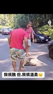 樹懶