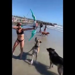 The Best Funny Animal Videos !!! So Adorable !!!